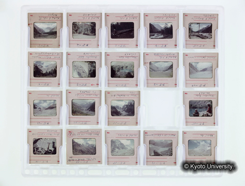 カラースライドシートNo.5 (1)