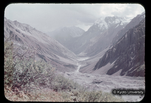 カラースライドF05_12 (1)