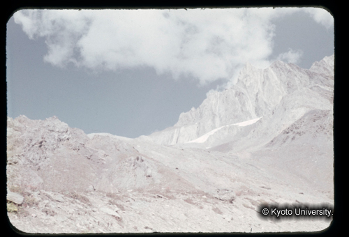 カラースライドF06_01 (1)