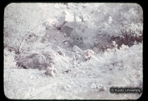 カラースライドF09_08 (1)