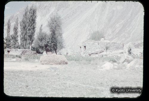 カラースライドF07_20 (1)