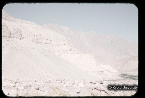 カラースライドF03_03 (1)