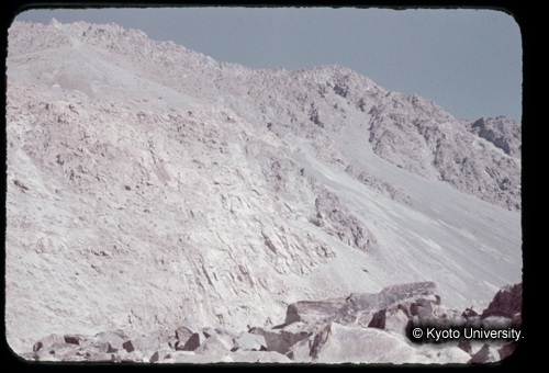 カラースライドF17_15 (1)