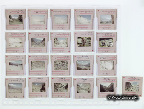 カラースライドシートNo.3 (1)