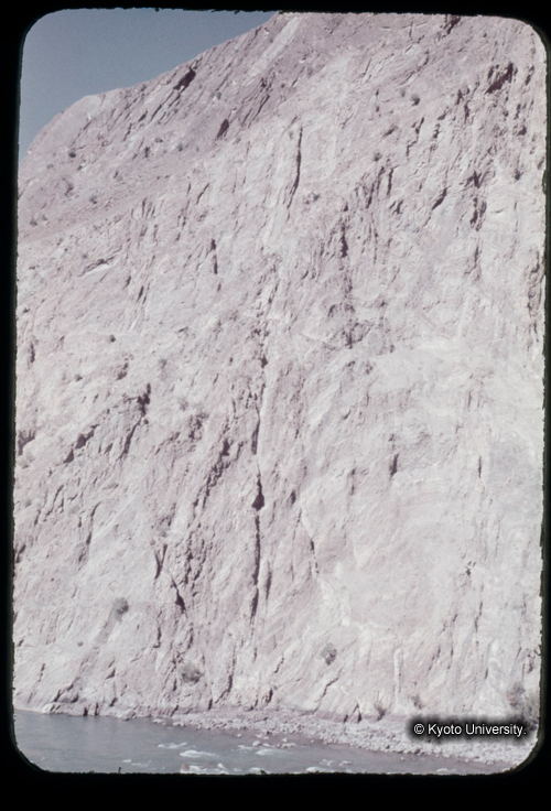 カラースライドF19_14 (1)