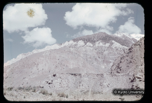 カラースライドF14_07 (1)