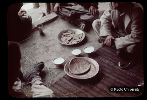 カラースライドF14_03 (1)