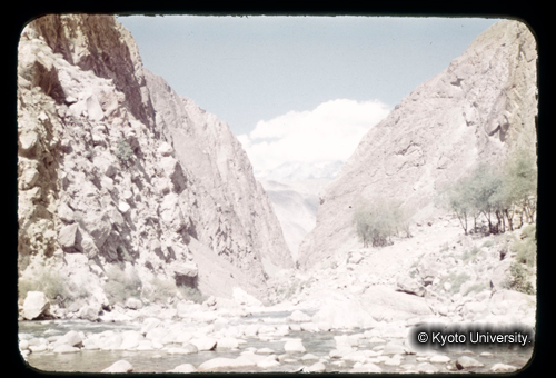 カラースライドF03_08 (1)