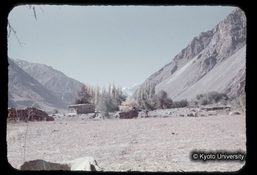 カラースライドF21_07 (1)