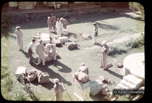 カラースライドF03_10 (1)