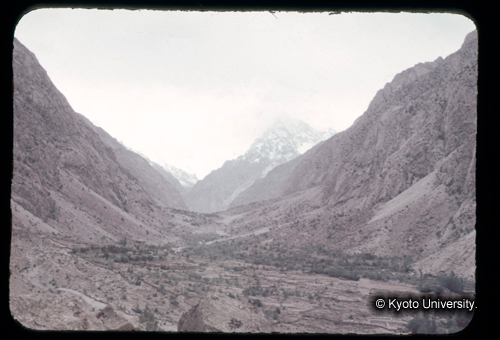 カラースライドF14_20 (1)