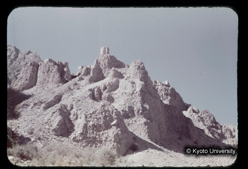 カラースライドF08_01 (1)