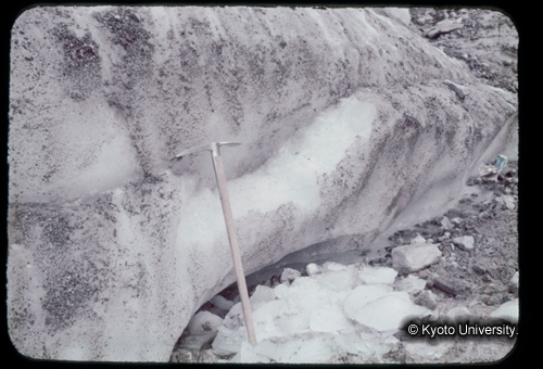 カラースライドF11_11 (1)