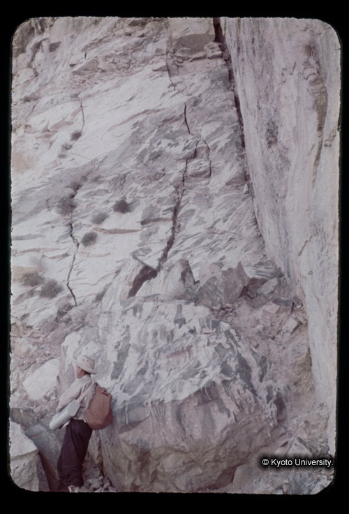 カラースライドF19_17 (1)