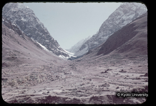 カラースライドF17_06 (1)