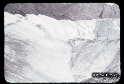 カラースライドF11_10 (1)