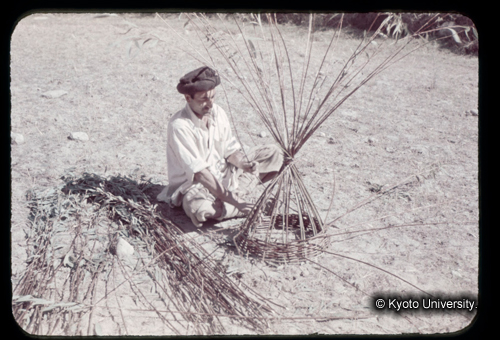 カラースライドF16_03 (1)