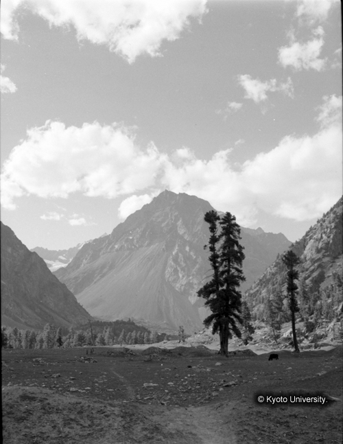 ヒンズークシ地域撮影フィルム : F-6-9 (1)