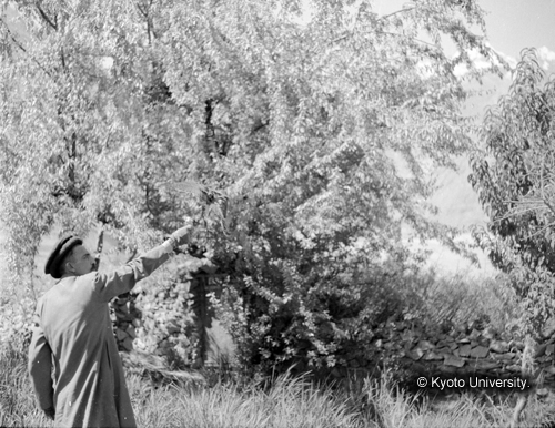 ヒンズークシ地域撮影フィルム : F-47-7 (1)