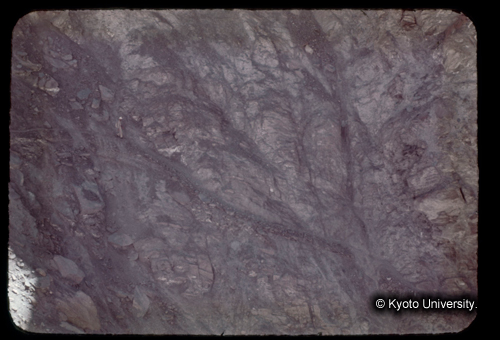 カラースライドF07_07 (1)