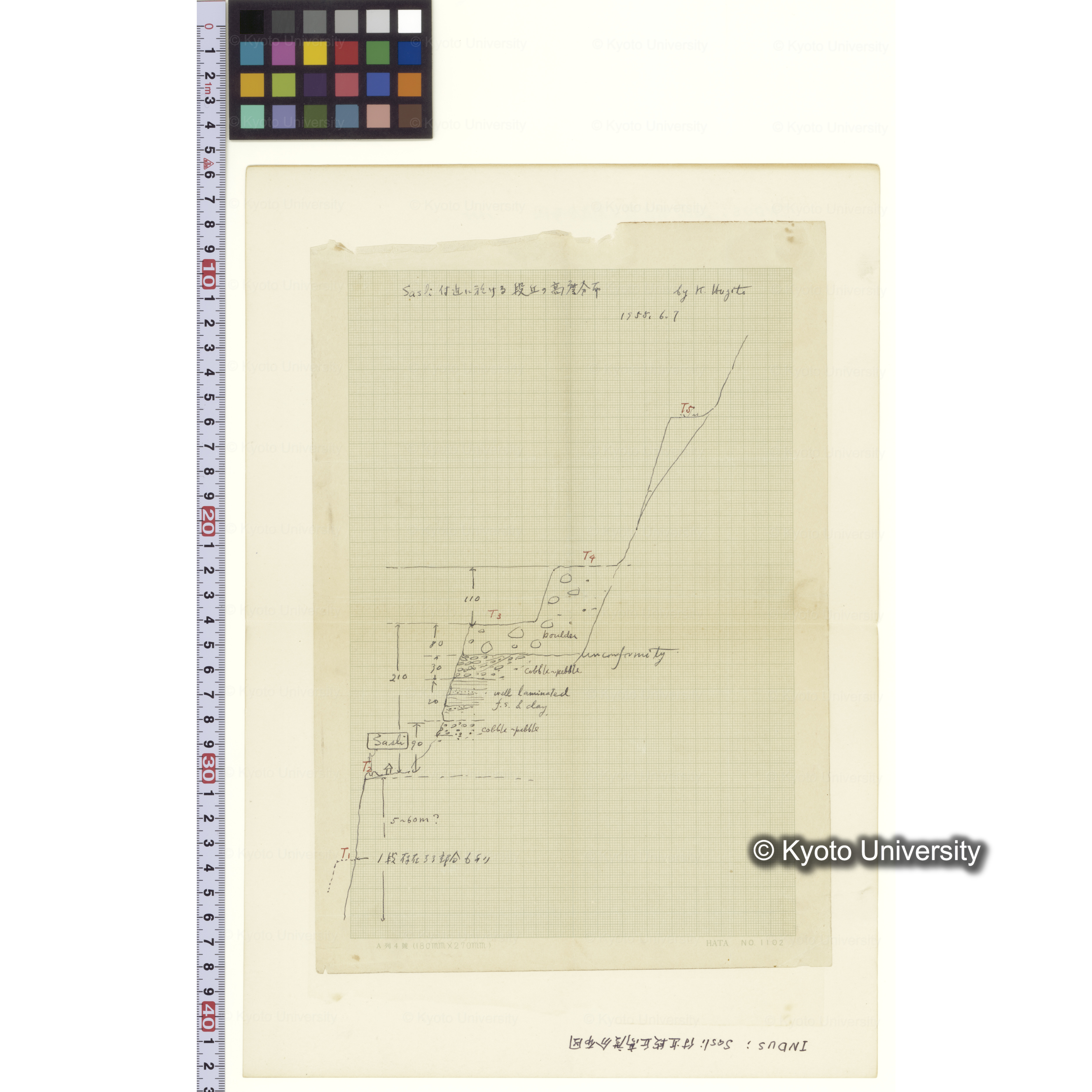 Mf100 10. INDUS;Sasli付近段丘高度分布図　1955 (2)