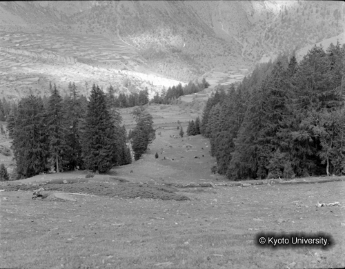 ヒンズークシ地域撮影フィルム : F-5-6 (1)