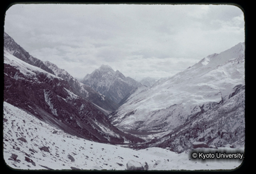 カラースライドF15_16 (1)