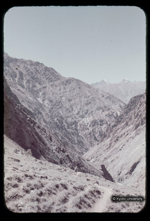 カラースライドF07_04 (1)