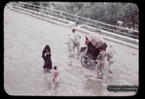 カラースライドF02_04 (1)