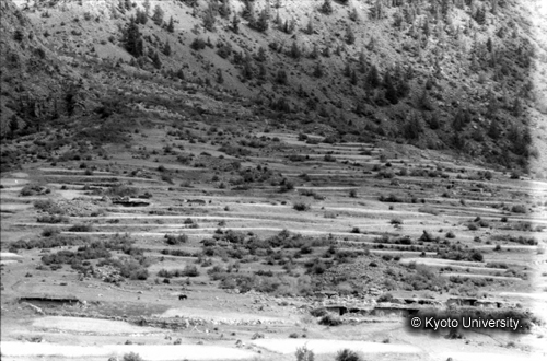 ヒンズークシ地域撮影フィルム : LF-2-6 (1)