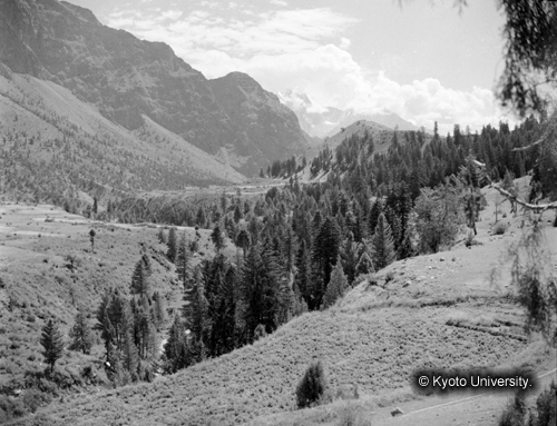 ヒンズークシ地域撮影フィルム : F-5-14 (1)