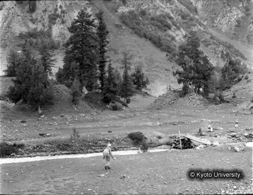 ヒンズークシ地域撮影フィルム : F-6-10 (1)