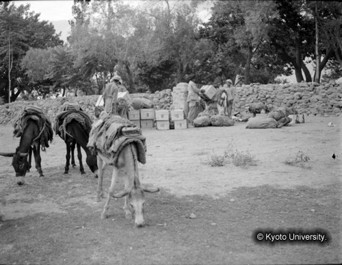 ヒンズークシ地域撮影フィルム : HF-4-2 (1)