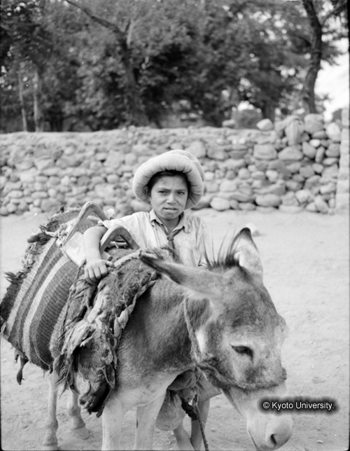 ヒンズークシ地域撮影フィルム : HF-4-3 (1)