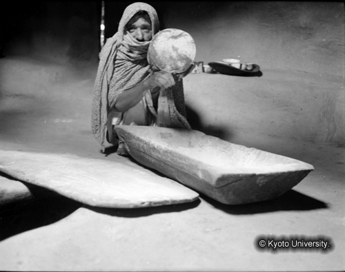 ヒンズークシ地域撮影フィルム : F-19 -5 (1)