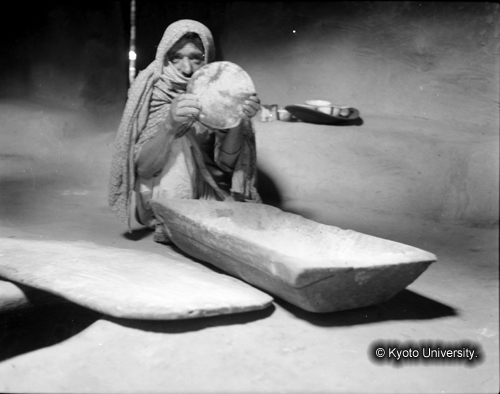 ヒンズークシ地域撮影フィルム : F-19 -6 (1)