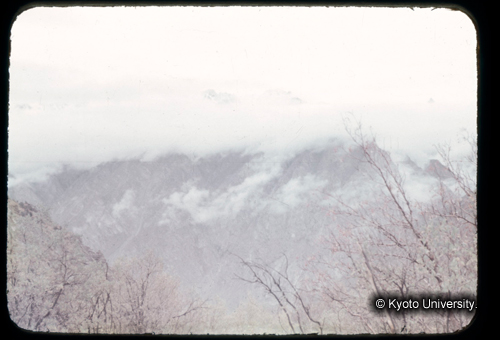 カラースライドF13_01 (1)