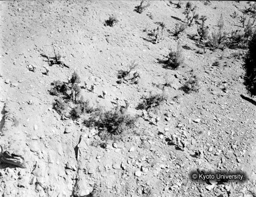 ヒンズークシ地域撮影フィルム : F-10-2 (1)