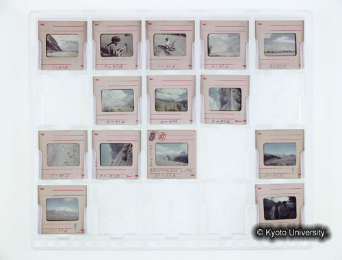 カラースライドシートNo.16 (1)