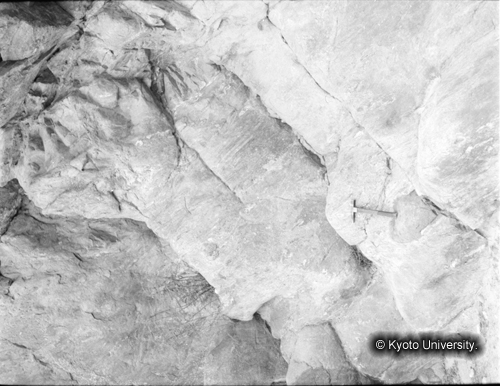 ヒンズークシ地域撮影フィルム : F-46-10 (1)