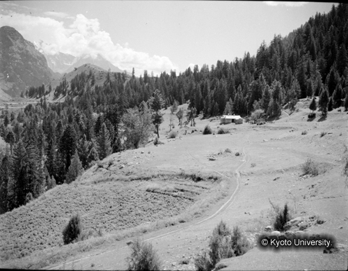 ヒンズークシ地域撮影フィルム : F-5-15 (1)