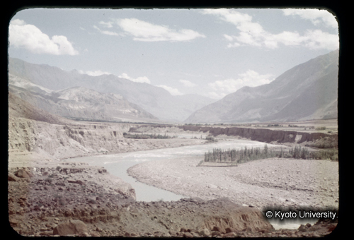 カラースライドF03_14 (1)