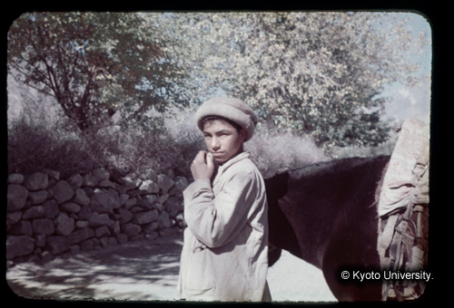 カラースライドF21_15 (1)