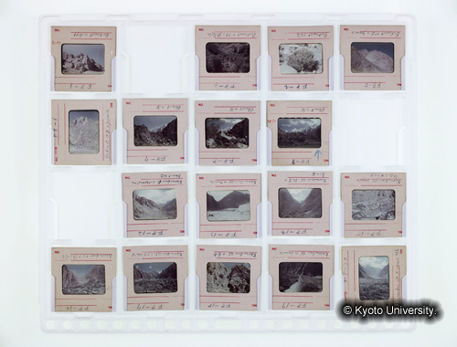 カラースライドシートNo.8 (1)