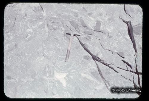 カラースライドF20_18 (1)