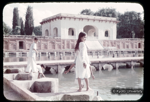 カラースライドF02_16 (1)