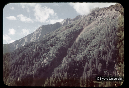 カラースライドF04_05 (1)