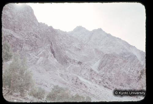 カラースライドF06_15 (1)