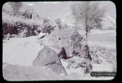 カラースライドF17_10 (1)