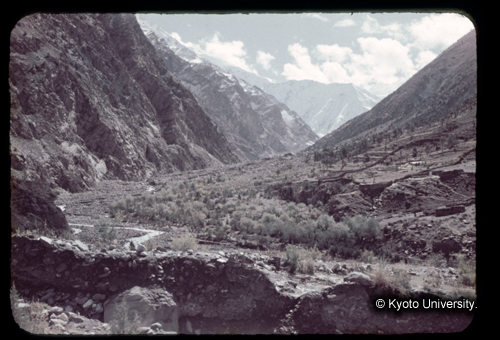 カラースライドF14_05 (1)